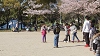 hana26 (276)_thumb.png